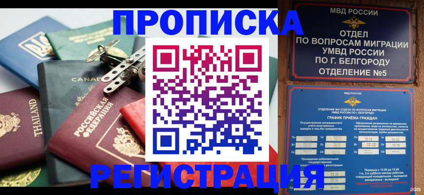 временная регистрация недорого в Калтане